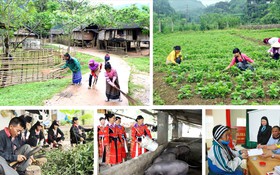 Vĩnh Long thúc đẩy chuyển đổi số thương mại dịch vụ