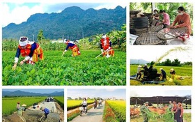 Dấu ấn Nông nghiệp Việt - Từ gian khó đến vươn xa