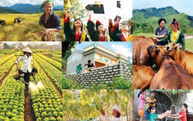 Bắc Ninh: Ứng dụng công nghệ cao, chuyển đổi số để giảm nghèo bền vững