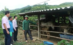 Cú hích tín dụng chính sách giúp Bắc Ninh giảm nghèo nhanh và bền vững