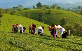 Phú Thọ: Ứng dụng khoa học – công nghệ xây dựng nông thôn mới hiện đại