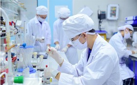 Ưu đãi vượt khung để giữ chân nhân tài: Việt Nam thay đổi cuộc chơi