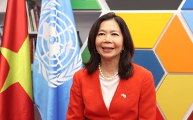 Việt Nam khẳng định vị thế đối tác tin cậy trong hợp tác quốc tế về khoa học, công nghệ và chuyển đổi số