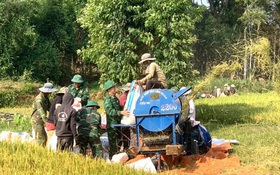 Chuyển đổi giống cây trồng tăng năng suất nơi vùng biên