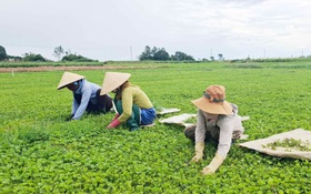 Thành phố Huế thực hiện số hóa nâng cao hiệu quả quản lý an sinh xã hội