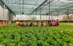 Chuyển đổi số hướng tới giảm nghèo bền vững