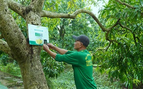 Làng thông minh sáng tạo của tỉnh Đồng Tháp