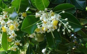 Thông tin kết quả thực hiện nhiệm vụ KH&CN cấp Quốc gia