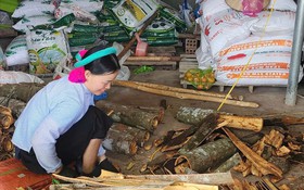 Giảm nghèo đa chiều gắn với chuyển đổi số và tăng trưởng xanh