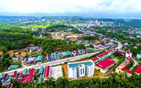 Điện Biên đẩy mạnh cơ cấu lại nền kinh tế trên nền tảng khoa học, công nghệ và chuyển đổi số