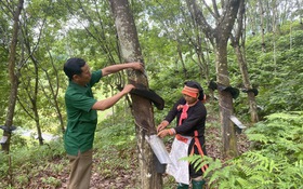 Khổng Lào (Lào Cai) đẩy mạnh ứng dụng khoa học, kỹ thuật, tạo chuyển biến trong giảm nghèo và xây dựng nông thôn mới
