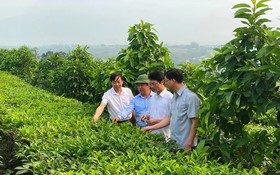 Lai Châu: Huy động mọi nguồn lực, ứng dụng khoa học và công nghệ để giảm nghèo bền vững