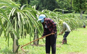 Sơn La: Nhiều bước tiến quan trọng từ ứng dụng khoa học – công nghệ trong giảm nghèo bền vững