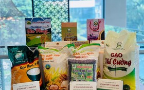 Những lưu ý quan trọng về quyền sở hữu trí tuệ khi doanh nghiệp thâm nhập thị trường Trung Quốc