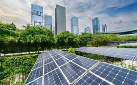 Khoa học và công nghệ giữ vai trò then chốt trong chiến lược tăng trưởng xanh