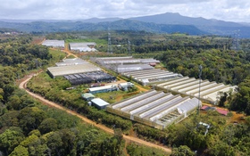 Giữ vững nông nghiệp công nghệ cao trong hành lang pháp lý phát triển quốc gia