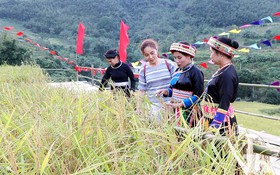 Thái Nguyên: HTX Yến Dương - mô hình nông nghiệp thông minh giúp vùng cao thoát nghèo