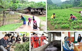 Tuyên Quang: Chuyển đổi số trở thành “nền móng” vững chắc cho giảm nghèo bền vững
