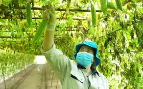 Nghị quyết 57: “Chìa khóa công nghệ” cho hợp tác xã và nông dân