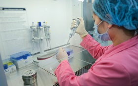 Đẩy mạnh ứng dụng trí tuệ nhân tạo trong thu thập và xử lý thông tin thống kê ngành khoa học và công nghệ