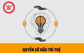 Ngày 25/9, Tổng Giám đốc Tổ chức Sở hữu trí tuệ thế giới sang thăm Việt Nam
