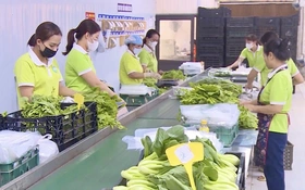 Nghị quyết 57: Xây nền cho hệ sinh thái công nghệ hợp tác