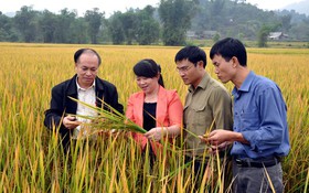 Xã Dân Tiến (Thái Nguyên): Biến rào cản thành động lực giảm nghèo đa chiều nhờ KHCN,ĐMST&CĐS