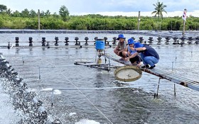 Cà Mau kiến tạo chính quyền số: Đột phá tư duy phát triển trong kỷ nguyên mới