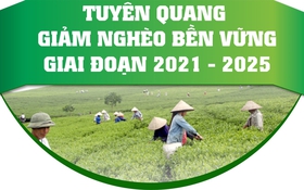 Tuyên Quang bứt phá giảm nghèo: KHCN,ĐMST&CĐS mở đường phát triển bền vững