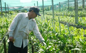 Thúc đẩy ứng dụng công nghệ sinh học trong sản xuất nông nghiệp