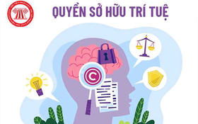 Nghị quyết 71-NQ/TW - bước ngoặt chính sách giáo dục với tầm nhìn đột phá