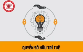 Bộ Khoa học và Công nghệ dự kiến trình Chính phủ 4 dự án Luật quan trọng trong tháng 9