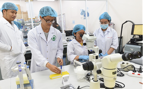 Việt Nam dành nhiều chính sách thu hút chuyên gia khoa học - công nghệ