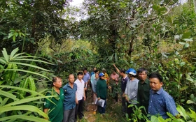 Nguồn gen bản địa mở hướng phát triển sinh kế bền vững