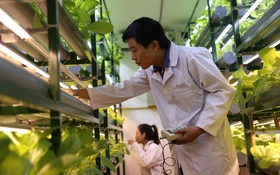 Hoàn thiện hệ thống tiêu chuẩn quốc gia phục vụ chuyển đổi xanh và mục tiêu phát thải thấp