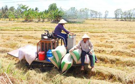 Nông dân Vĩnh Long làm nông bằng dữ liệu: Con đường mới để giảm nghèo bền vững