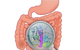 Thông tin nghiệm thu nhiệm vụ KH&CN cấp quốc gia