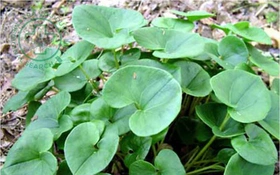 Thông tin về kết quả thực hiện nhiệm vụ KH&CN cấp quốc gia