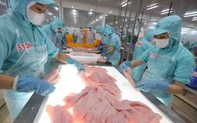 Cà Mau triển khai Nghị quyết 57 bằng các mô hình đổi mới, tạo động lực phát triển bền vững