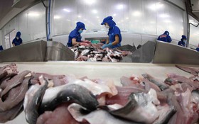 Tiêu chuẩn  - Nâng cao năng suất, chất lượng cho ngành thủy sản