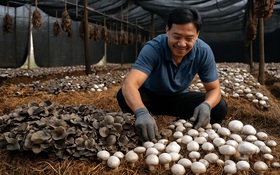 Khoa học, công nghệ mở đường giảm nghèo thông tin