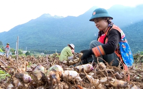 An Giang: Chuyển biến rõ nét trong xây dựng nông thôn mới và giảm nghèo bền vững
