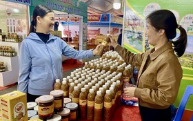 Phú Thọ: Khẳng định vị thế OCOP bằng khoa học, công nghệ và chuỗi giá trị