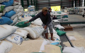 An Giang: Thúc đẩy KH,CN, ĐMAT&CĐS - Mở rộng sinh kế và giảm nghèo bền vững