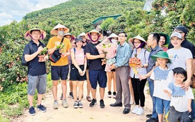 Đưa sản phẩm OCOP thành "đại sứ" du lịch nhờ sức mạnh khoa học công nghệ