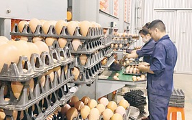 Bắc Ninh: Bắt nhịp công nghệ số, nâng sức cạnh tranh cho nông sản