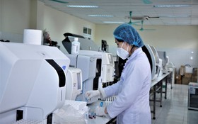 KH,CN,ĐMST&CĐS: Đột phá chiến lược thúc đẩy chuyển đổi xanh và phát triển bền vững tại TP. Hồ Chí Minh