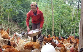 Ứng dụng khoa học, công nghệ và đổi mới sáng tạo nâng tầm các sản phẩm chủ lực của Lạng Sơn