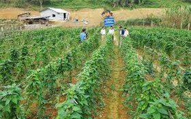 Cao Bằng: Khoa học, công nghệ và đổi mới sáng tạo tạo động lực phát triển kinh tế - xã hội