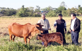 Đồng Việt (Bắc Ninh) giảm nghèo hiệu quả nhờ đa dạng cách làm